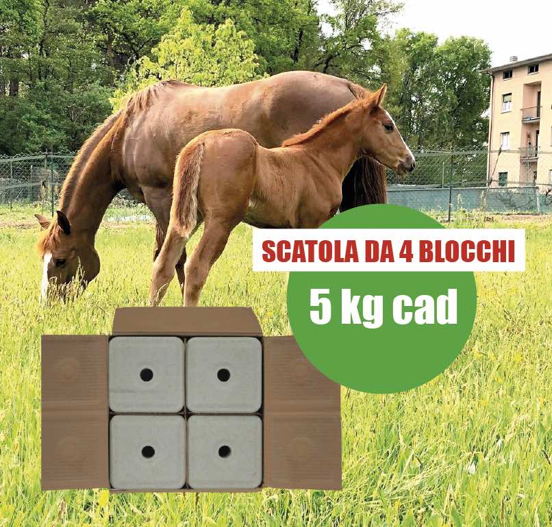 BLOCCO DI SALE 4 X 5KG